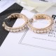 Persistent popular classic product 2022 DIOR Dior earrings Persistent popular classic product 2022 DIOR Dior earrings
