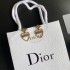 Delivered from overseas Limited edition 2022 DIOR Dior earrings