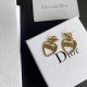 Delivered from overseas Limited edition 2022 DIOR Dior earrings Delivered from overseas Limited edition 2022 DIOR Dior earrings