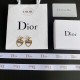 Delivered from overseas Limited edition 2022 DIOR Dior earrings Delivered from overseas Limited edition 2022 DIOR Dior earrings