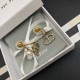 Overseas popular item 2022 DIOR Dior earrings Overseas popular item 2022 DIOR Dior earrings