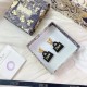 Overseas limited model new 2022 DIOR Dior earrings Overseas limited model new 2022 DIOR Dior earrings