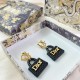 Overseas limited model new 2022 DIOR Dior earrings Overseas limited model new 2022 DIOR Dior earrings