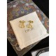 New arrival of the topic 2022 DIOR Dior earrings New arrival of the topic 2022 DIOR Dior earrings
