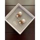 Super rare love at first sight 2022 DIOR Dior earrings Super rare love at first sight 2022 DIOR Dior earrings