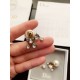 Super rare love at first sight 2022 DIOR Dior earrings Super rare love at first sight 2022 DIOR Dior earrings