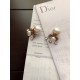 Super rare love at first sight 2022 DIOR Dior earrings Super rare love at first sight 2022 DIOR Dior earrings
