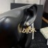 New this season 2022 DIOR Dior earrings