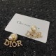 New this season 2022 DIOR Dior earrings New this season 2022 DIOR Dior earrings