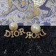 New this season 2022 DIOR Dior earrings New this season 2022 DIOR Dior earrings