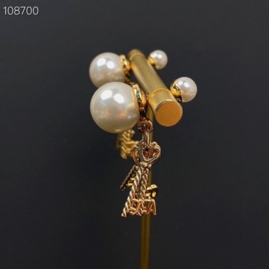 This season's hottest first-class item 2022 DIOR Dior earrings This season's hottest first-class item 2022 DIOR Dior earrings