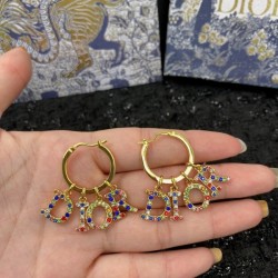 Purchased? Overseas prompt 2022 DIOR Dior earrings