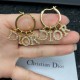 Popular sale 100% new 2022 DIOR Dior earrings Popular sale 100% new 2022 DIOR Dior earrings
