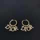 Popular sale 100% new 2022 DIOR Dior earrings Popular sale 100% new 2022 DIOR Dior earrings