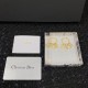 Popular sale 100% new 2022 DIOR Dior earrings Popular sale 100% new 2022 DIOR Dior earrings