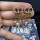 2022 DIOR Dior earrings with popular new logo 2022 DIOR Dior earrings with popular new logo