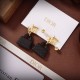 Japan not in stock color 2022 DIOR Dior earrings Japan not in stock color 2022 DIOR Dior earrings