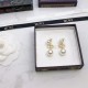 Limited Price Early Sold Out 2022 DIOR Dior Earrings Limited Price Early Sold Out 2022 DIOR Dior Earrings