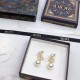 Limited Price Early Sold Out 2022 DIOR Dior Earrings Limited Price Early Sold Out 2022 DIOR Dior Earrings