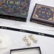 Limited Price Early Sold Out 2022 DIOR Dior Earrings Limited Price Early Sold Out 2022 DIOR Dior Earrings