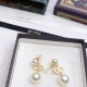 Limited Price Early Sold Out 2022 DIOR Dior Earrings Limited Price Early Sold Out 2022 DIOR Dior Earrings