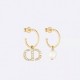 The latest popular topic is boiling 2022 DIOR Dior earrings The latest popular topic is boiling 2022 DIOR Dior earrings