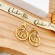 Extremely rare item 2022 DIOR Dior earrings Extremely rare item 2022 DIOR Dior earrings