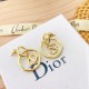 Extremely rare item 2022 DIOR Dior earrings Extremely rare item 2022 DIOR Dior earrings