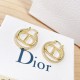 Stylish dish 2022 DIOR Dior earrings Stylish dish 2022 DIOR Dior earrings