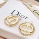 Stylish dish 2022 DIOR Dior earrings Stylish dish 2022 DIOR Dior earrings