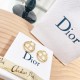 Stylish dish 2022 DIOR Dior earrings Stylish dish 2022 DIOR Dior earrings