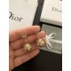 Retro design 2022 DIOR Dior earrings Retro design 2022 DIOR Dior earrings