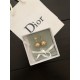 Retro design 2022 DIOR Dior earrings Retro design 2022 DIOR Dior earrings