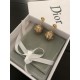 Retro design 2022 DIOR Dior earrings Retro design 2022 DIOR Dior earrings