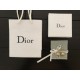 Retro design 2022 DIOR Dior earrings Retro design 2022 DIOR Dior earrings