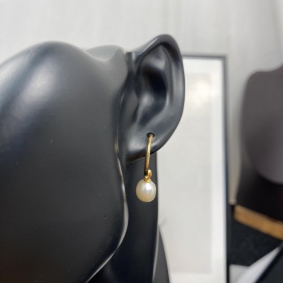 One item recommended for daily 2022 DIOR Dior earrings One item recommended for daily 2022 DIOR Dior earrings