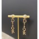 Popular model in Japan 2022 DIOR Dior earrings Popular model in Japan 2022 DIOR Dior earrings