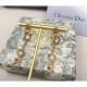 Popular model in Japan 2022 DIOR Dior earrings Popular model in Japan 2022 DIOR Dior earrings