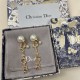 Popular model in Japan 2022 DIOR Dior earrings Popular model in Japan 2022 DIOR Dior earrings
