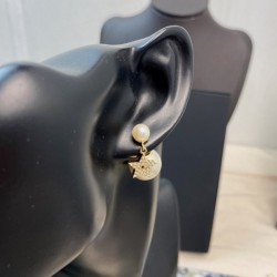 2022 DIOR Dior earrings