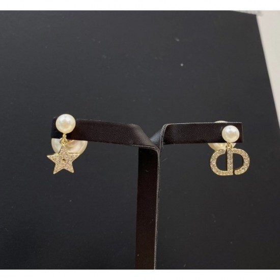 2022 DIOR Dior earrings 2022 DIOR Dior earrings