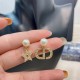 2022 DIOR Dior earrings 2022 DIOR Dior earrings