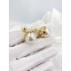 New arrival this season 2022 DIOR Dior earrings New arrival this season 2022 DIOR Dior earrings
