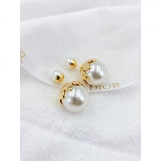 New arrival this season 2022 DIOR Dior earrings New arrival this season 2022 DIOR Dior earrings