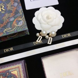 Secured 2022 DIOR Dior Earrings