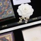 Secured 2022 DIOR Dior Earrings Secured 2022 DIOR Dior Earrings
