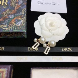 Secured 2022 DIOR Dior Earrings