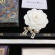 Secured 2022 DIOR Dior Earrings Secured 2022 DIOR Dior Earrings