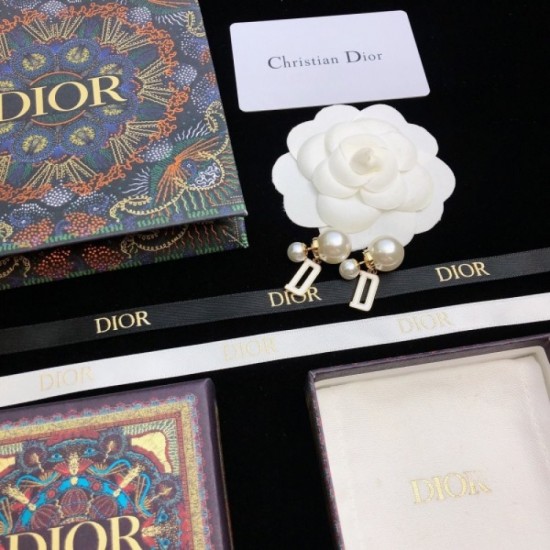 Secured 2022 DIOR Dior Earrings Secured 2022 DIOR Dior Earrings