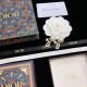 Secured 2022 DIOR Dior Earrings Secured 2022 DIOR Dior Earrings